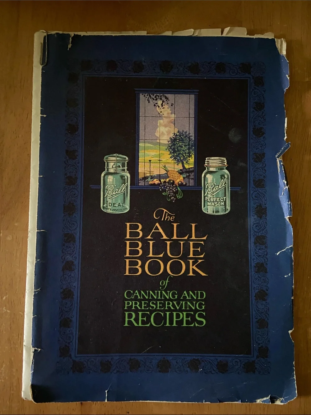 Antique vintage 1920s 20s home Canning & Preserving cookbook Can preserves book
